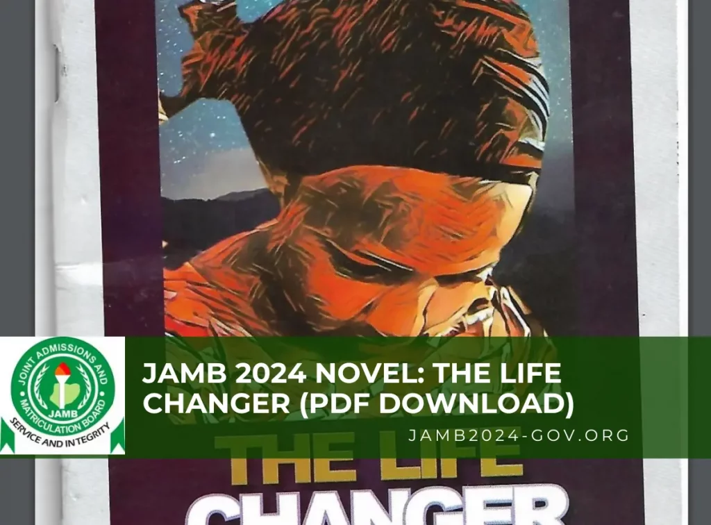 picture of 2024 jamb recommended novel: the life changer